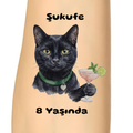 kokteyl-kedi-evcil-hayvan-dogum-gunu-gecici-dovmesi.png