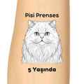 pisi-prenses-kedi-dogum-gunu-gecici-dovme