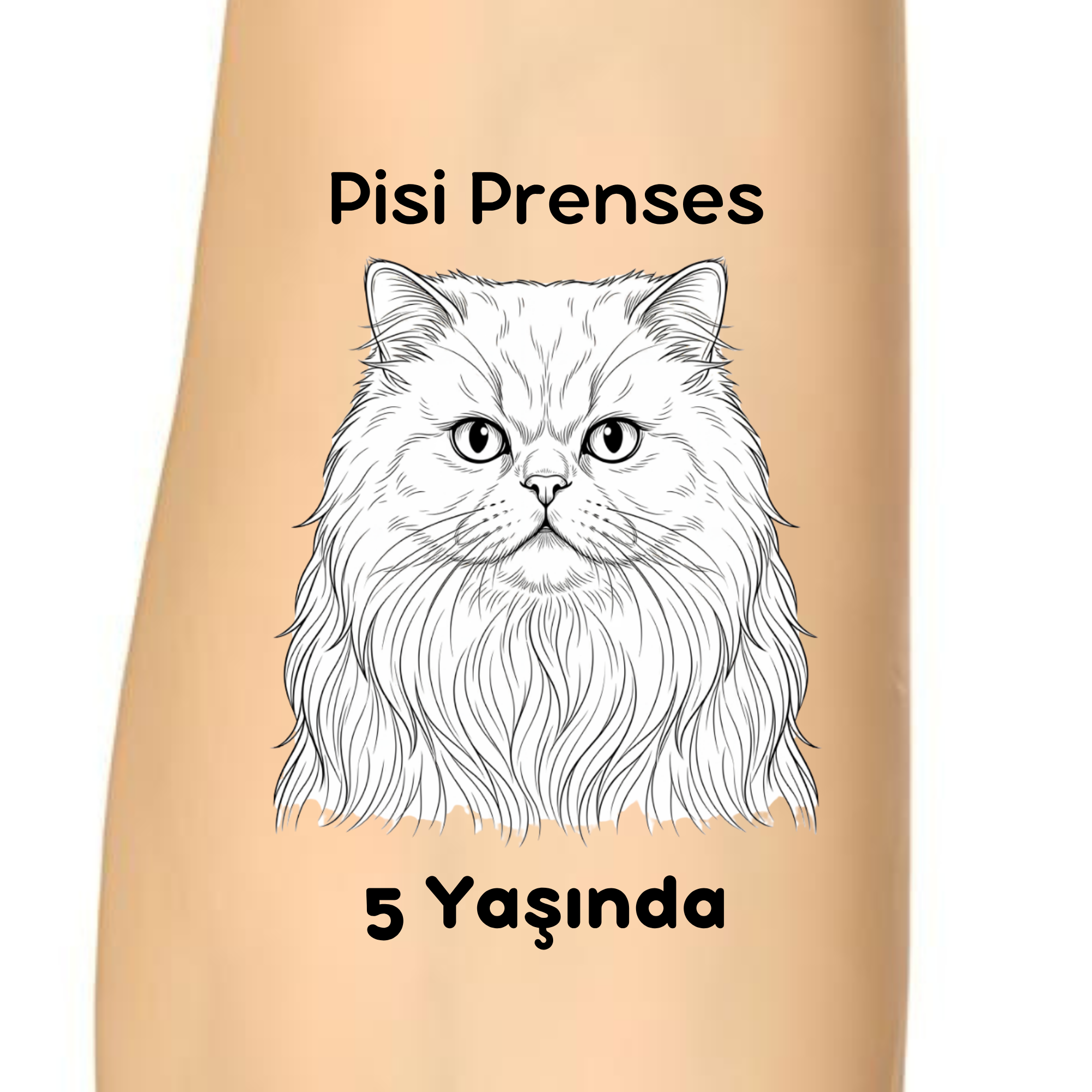 pisi-prenses-kedi-dogum-gunu-gecici-dovme