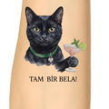 tam-bir-bela-kedi-gecici-dovme.png